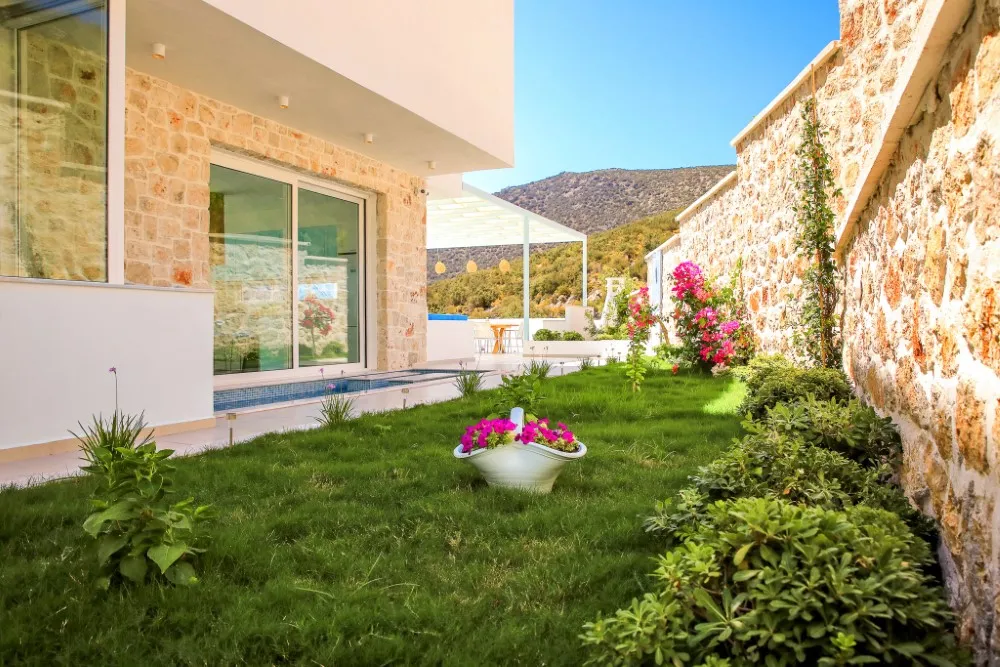 Fotoğraf 30