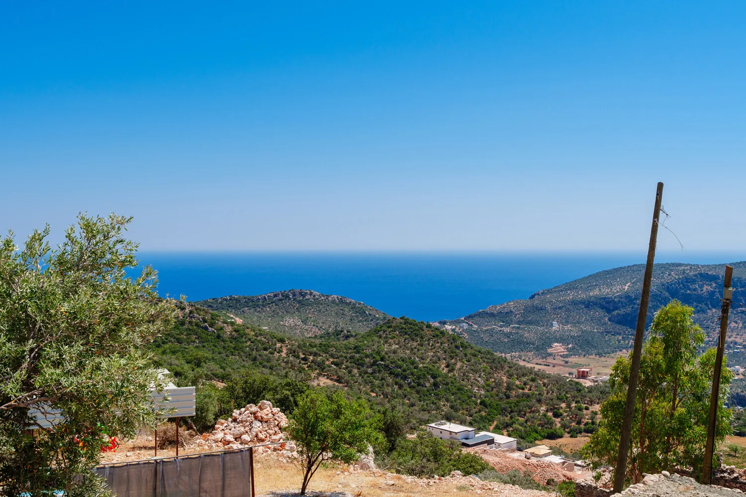Fotoğraf 31