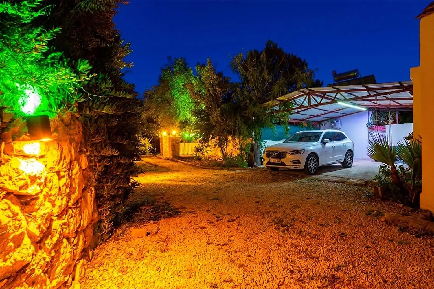 Fotoğraf 77
