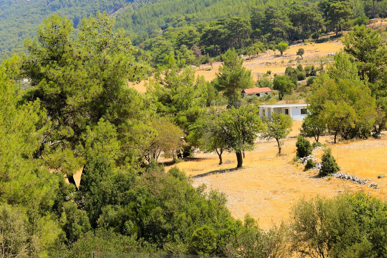 Fotoğraf 20