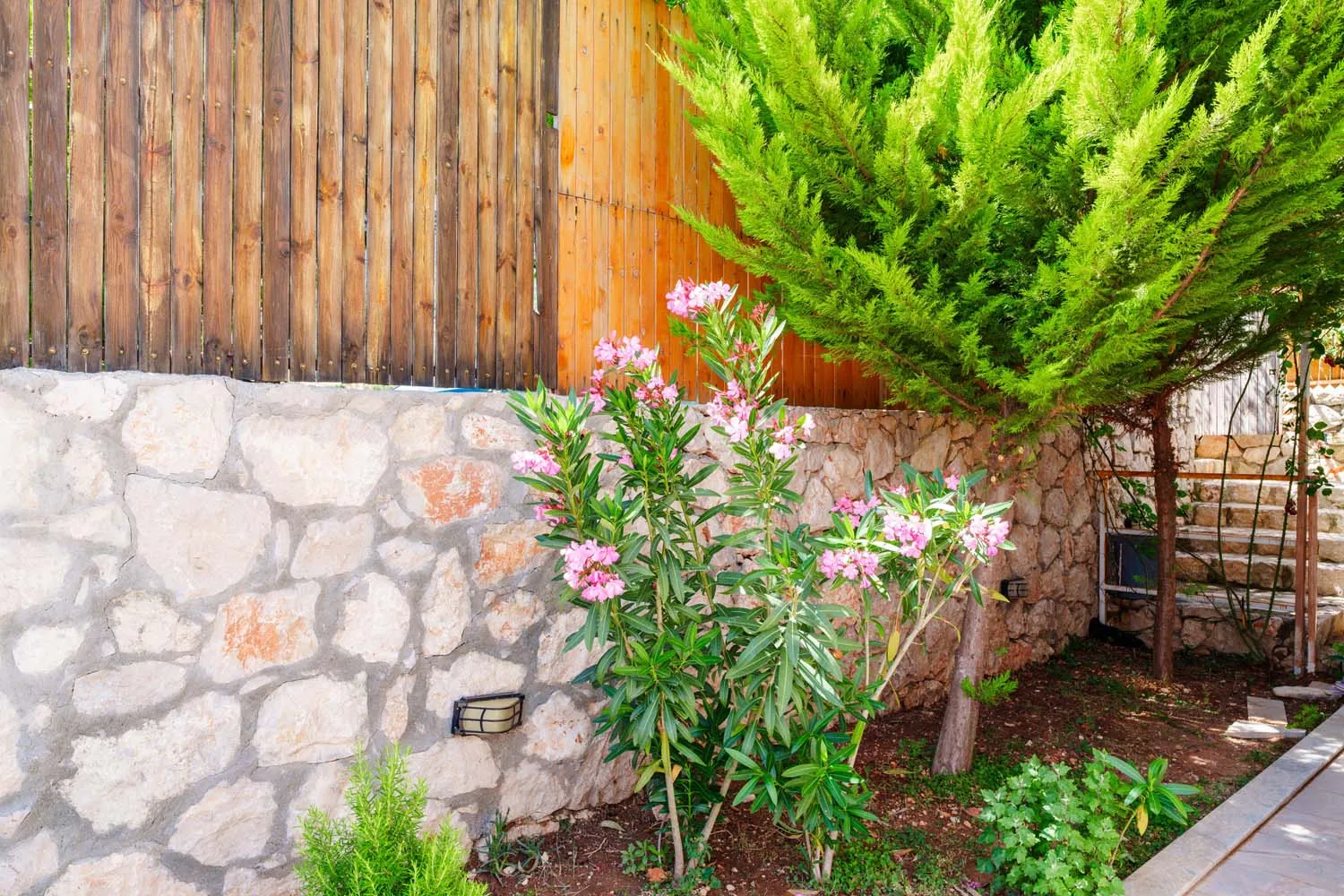Fotoğraf 17