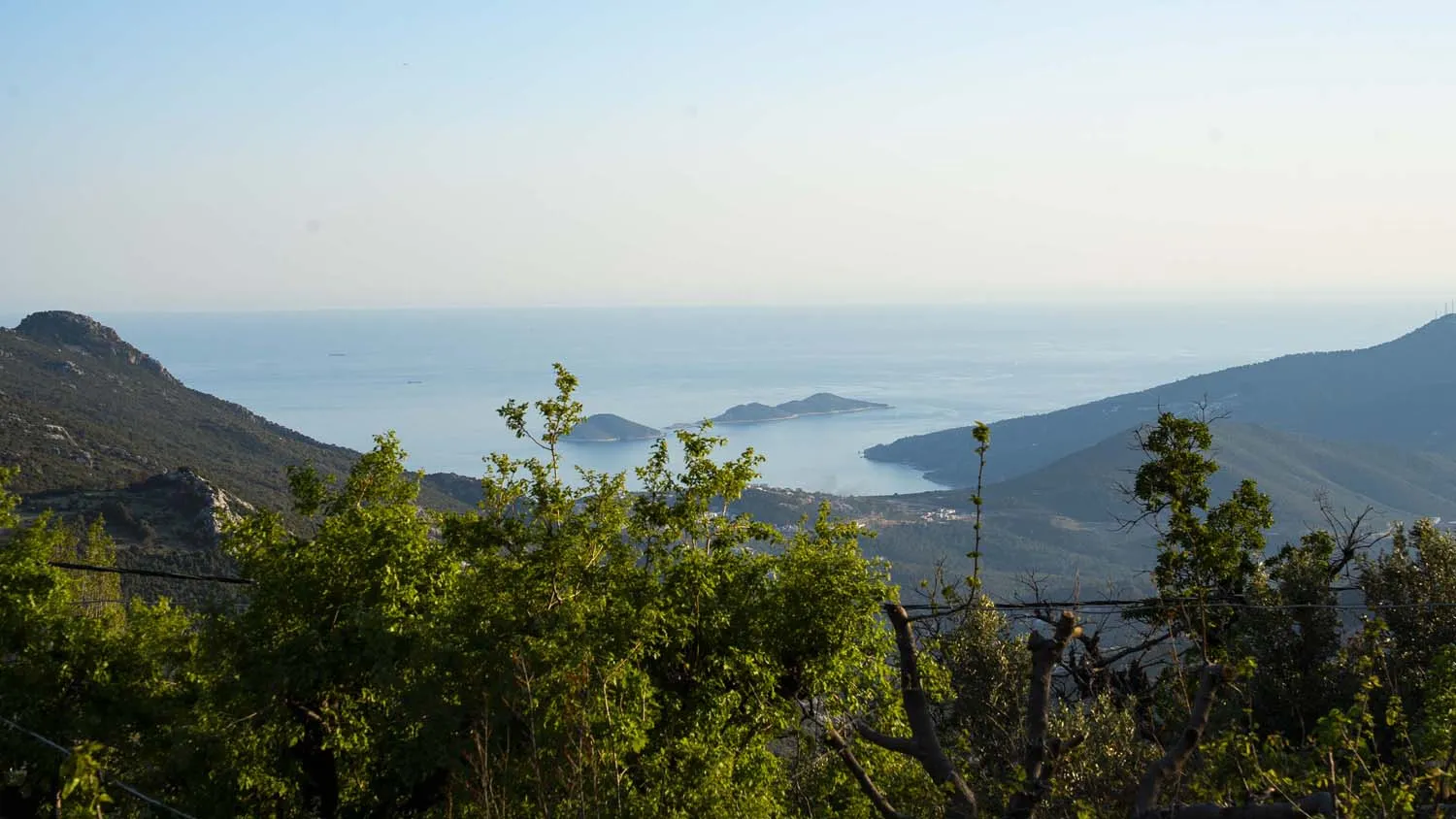 Fotoğraf 76
