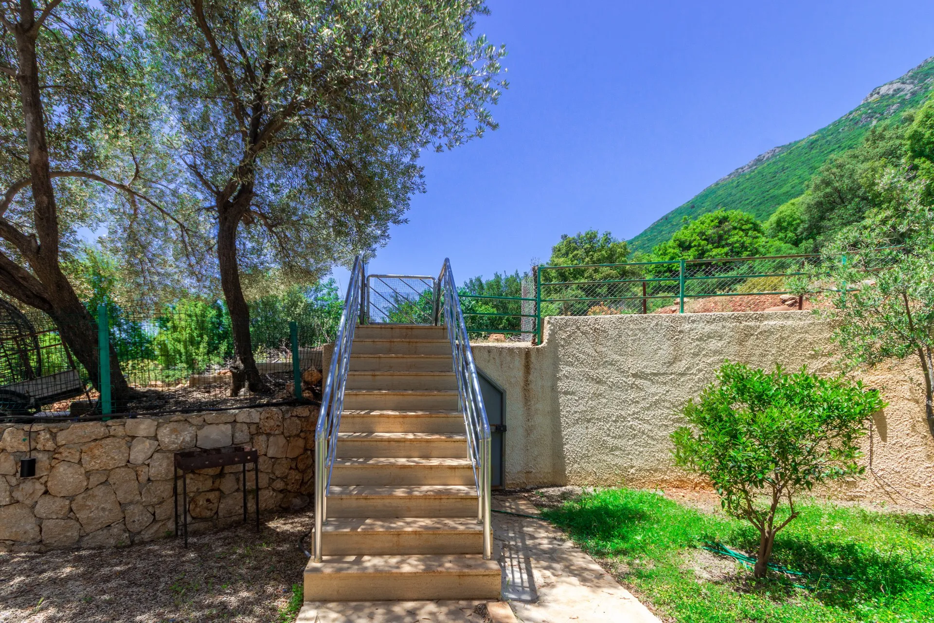 Fotoğraf 42