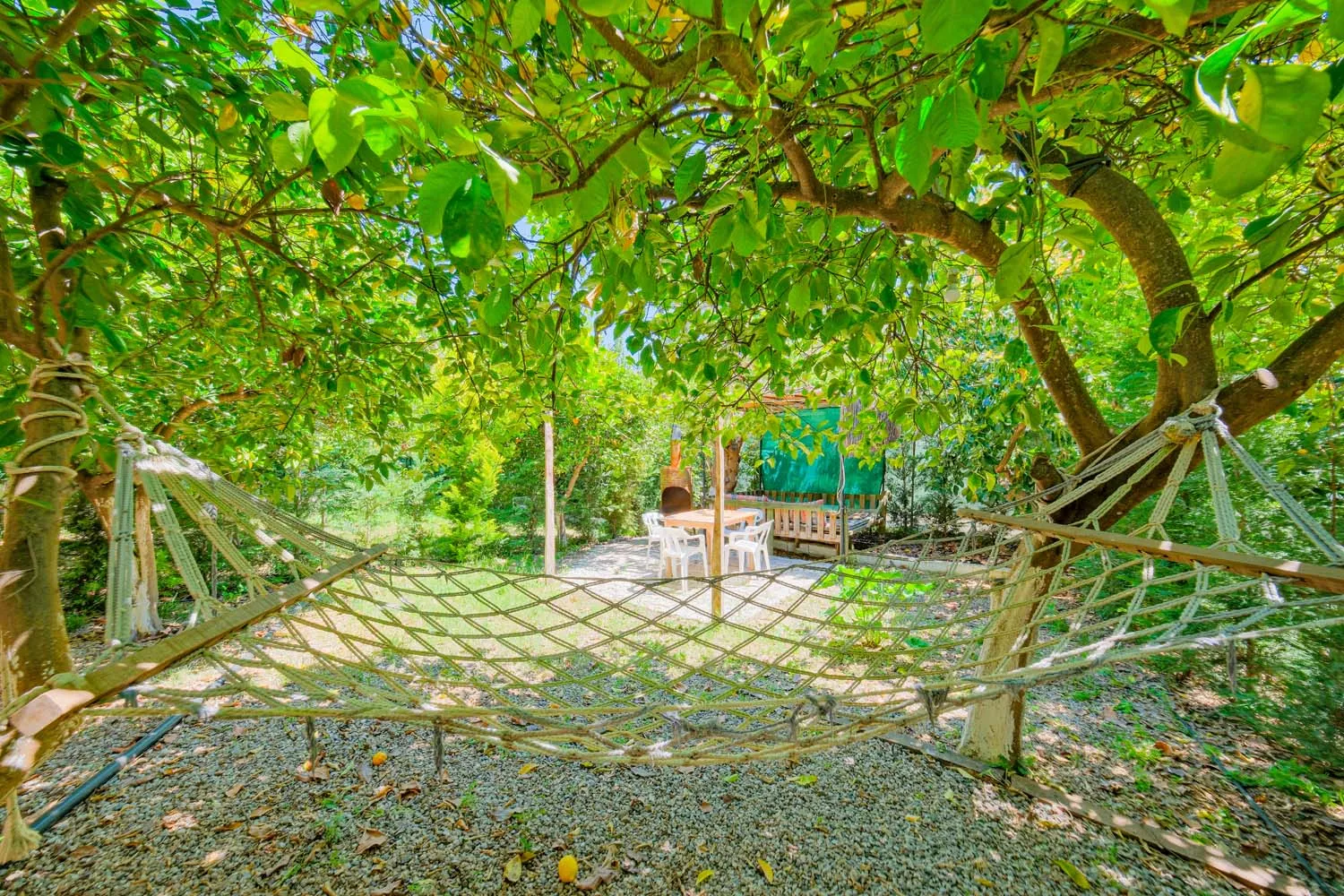 Avokado Bungalov 5