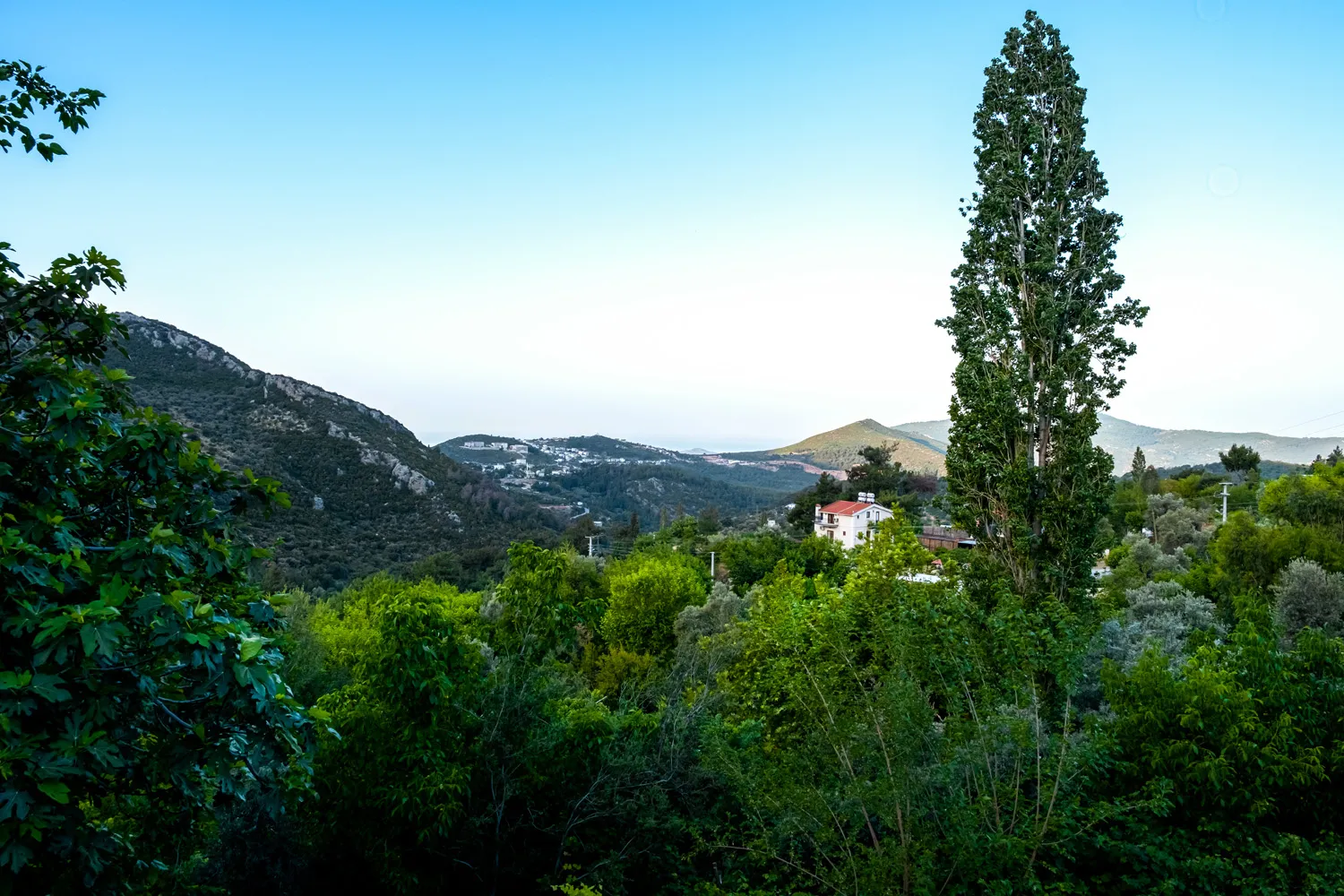 Fotoğraf 30