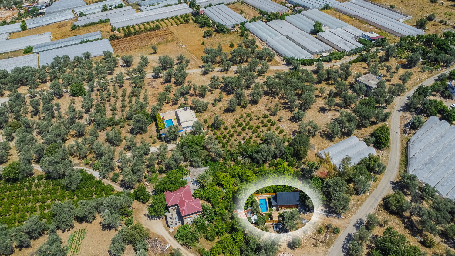 Fotoğraf 29