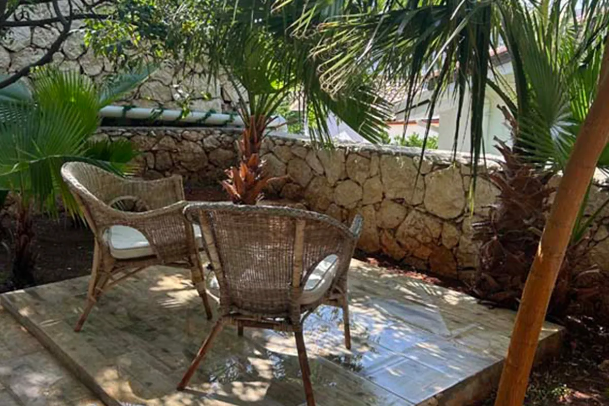 Fotoğraf 19