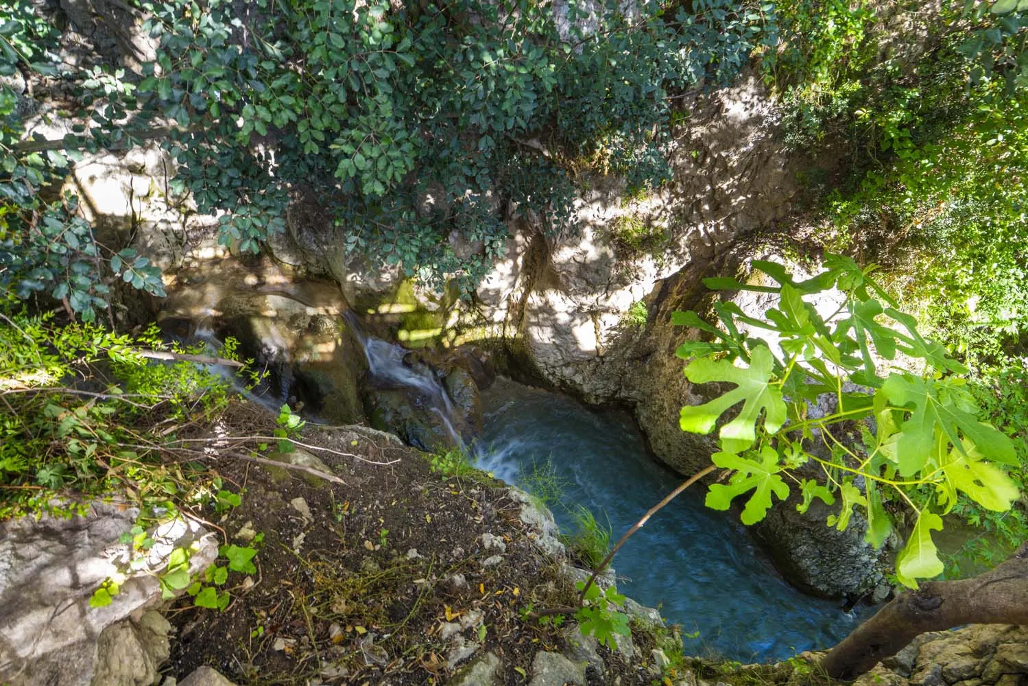 Fotoğraf 41