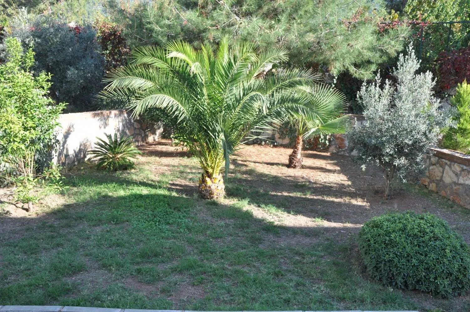 Fotoğraf 22