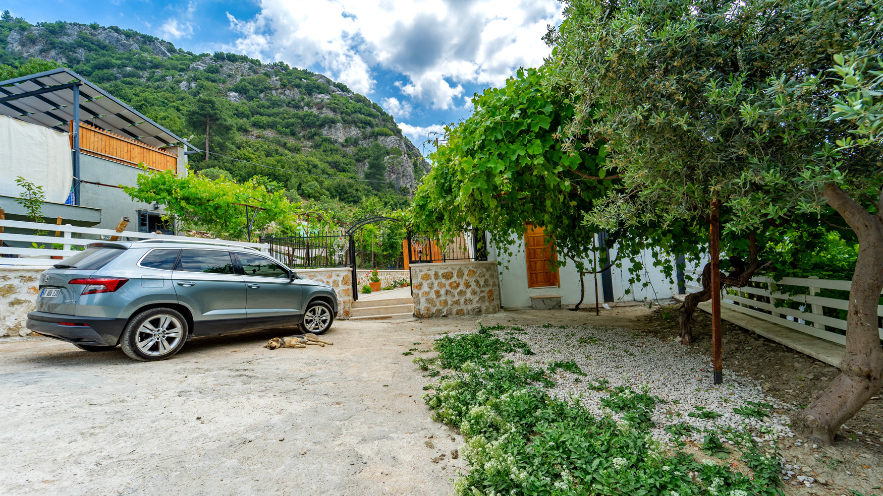 Fotoğraf 19