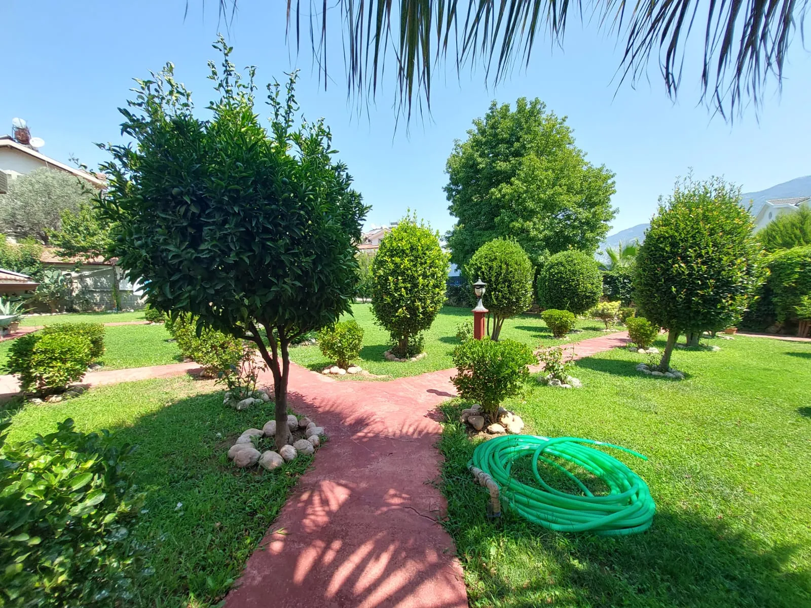 Fotoğraf 41