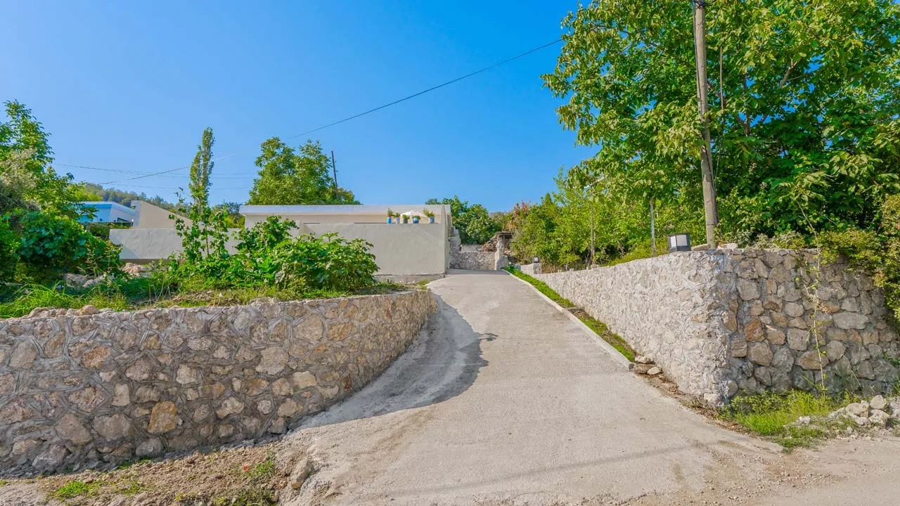 Fotoğraf 28