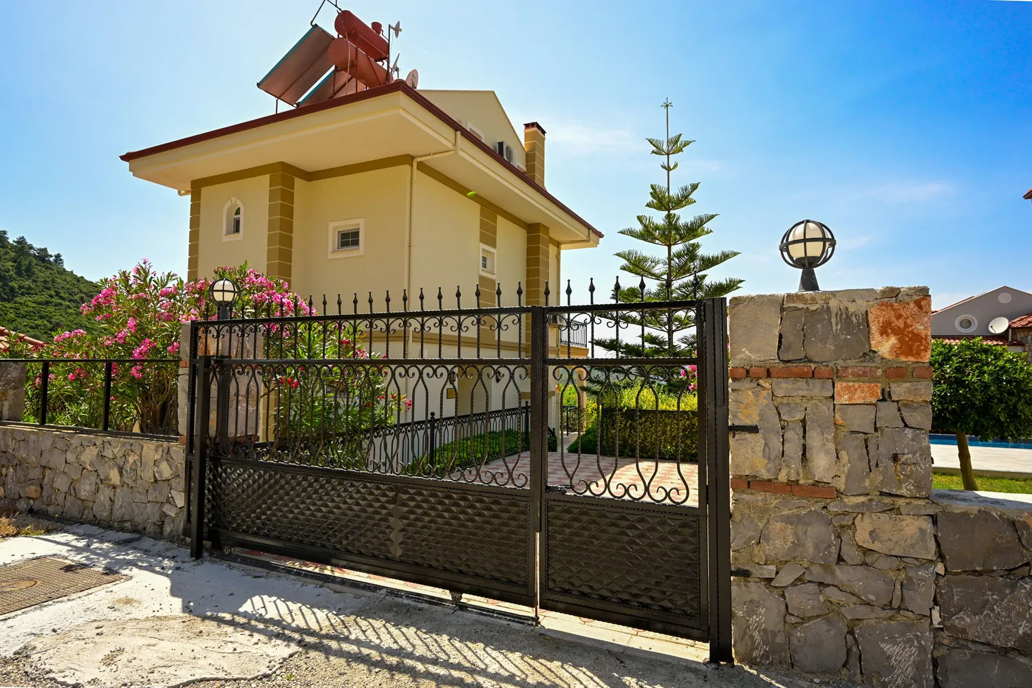 Fotoğraf 19
