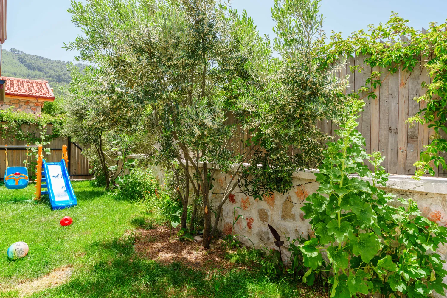 Fotoğraf 19