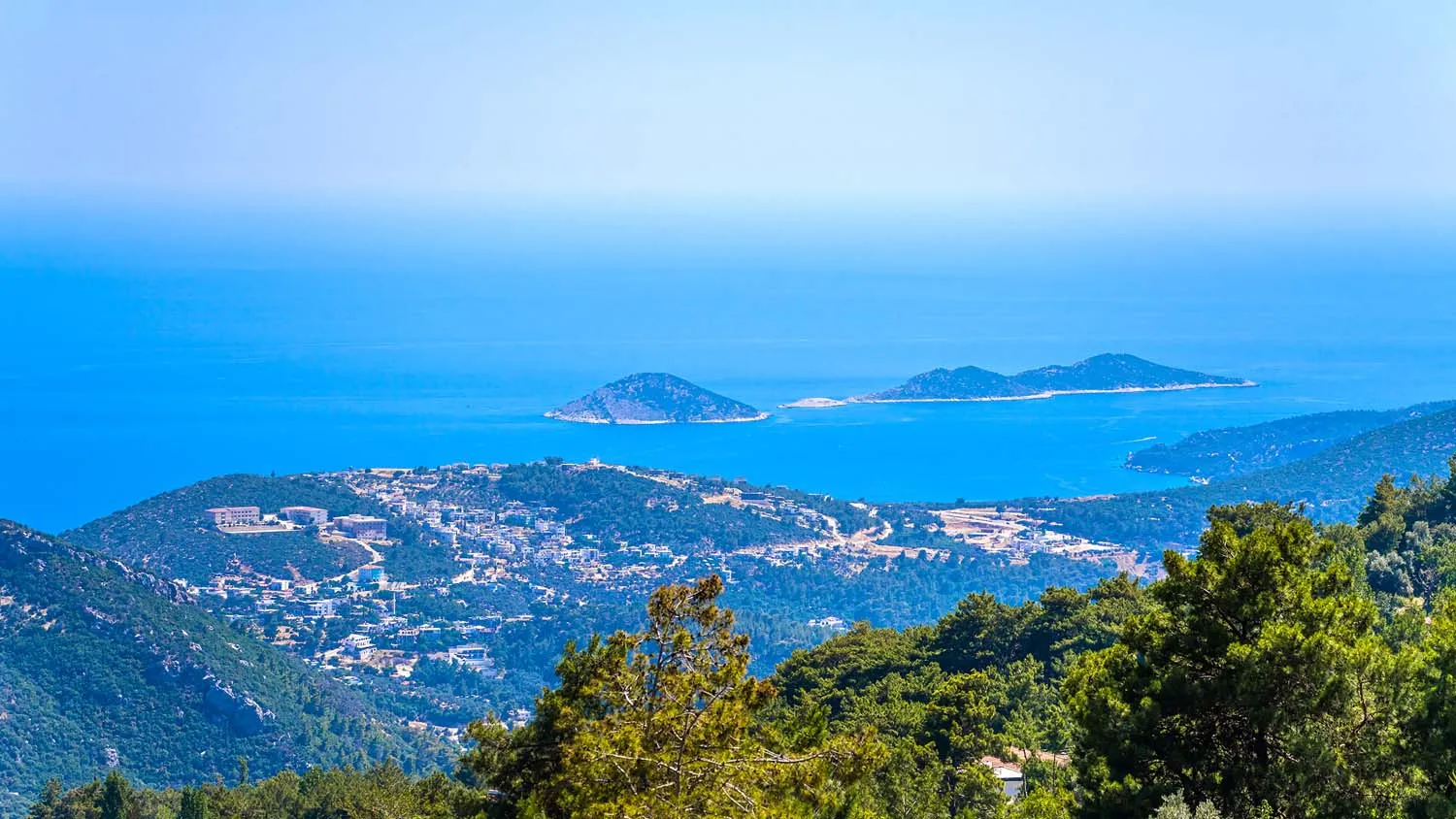 Fotoğraf 32