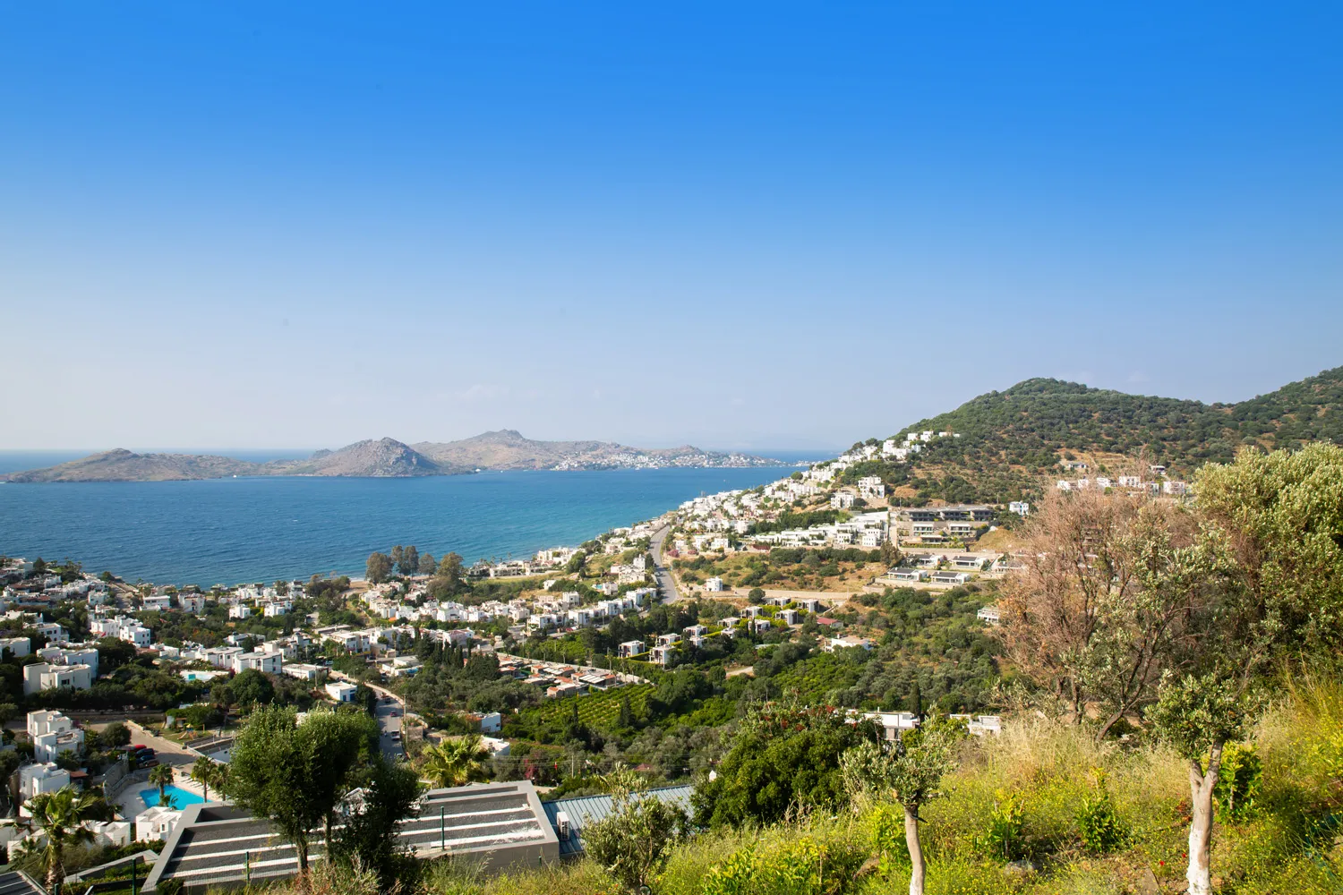 Fotoğraf 44