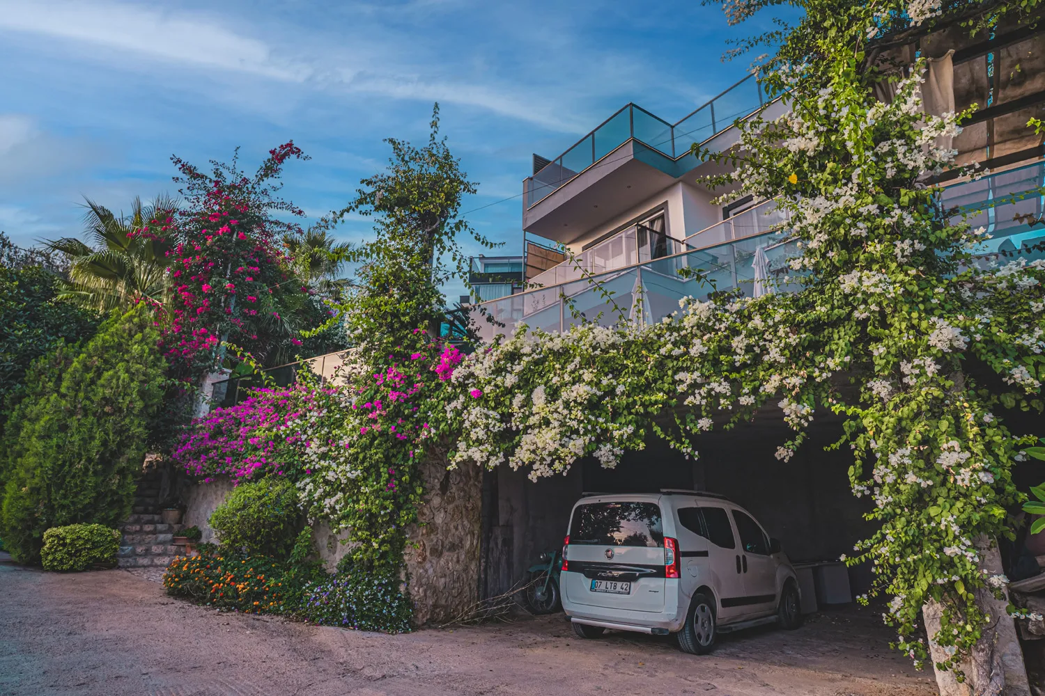 Fotoğraf 8