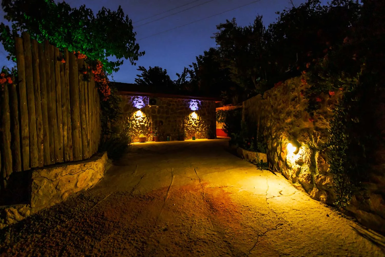 Fotoğraf 59