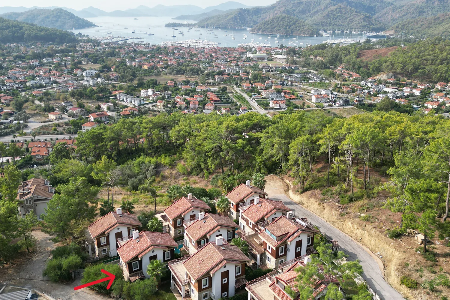 Fotoğraf 20