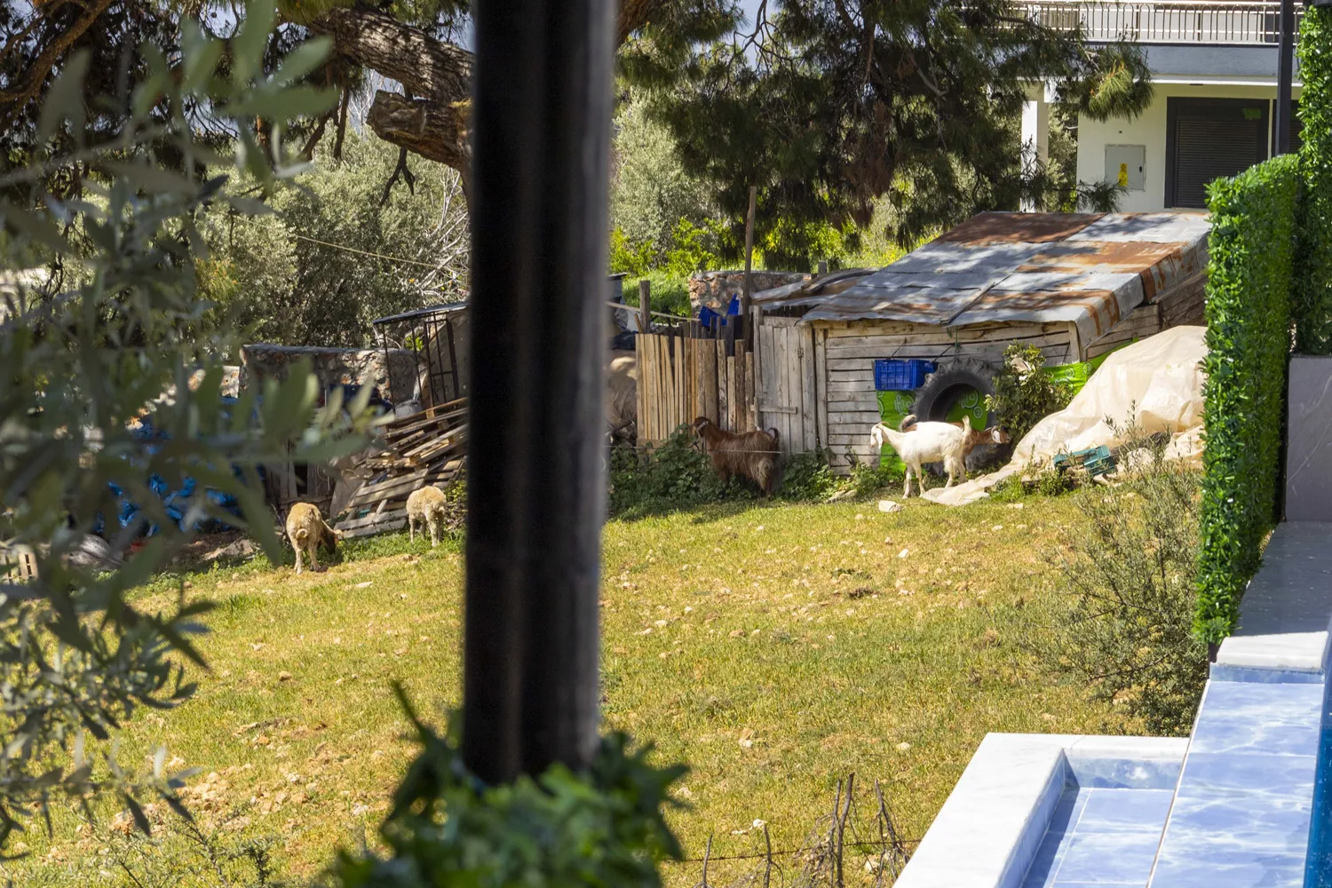Fotoğraf 26