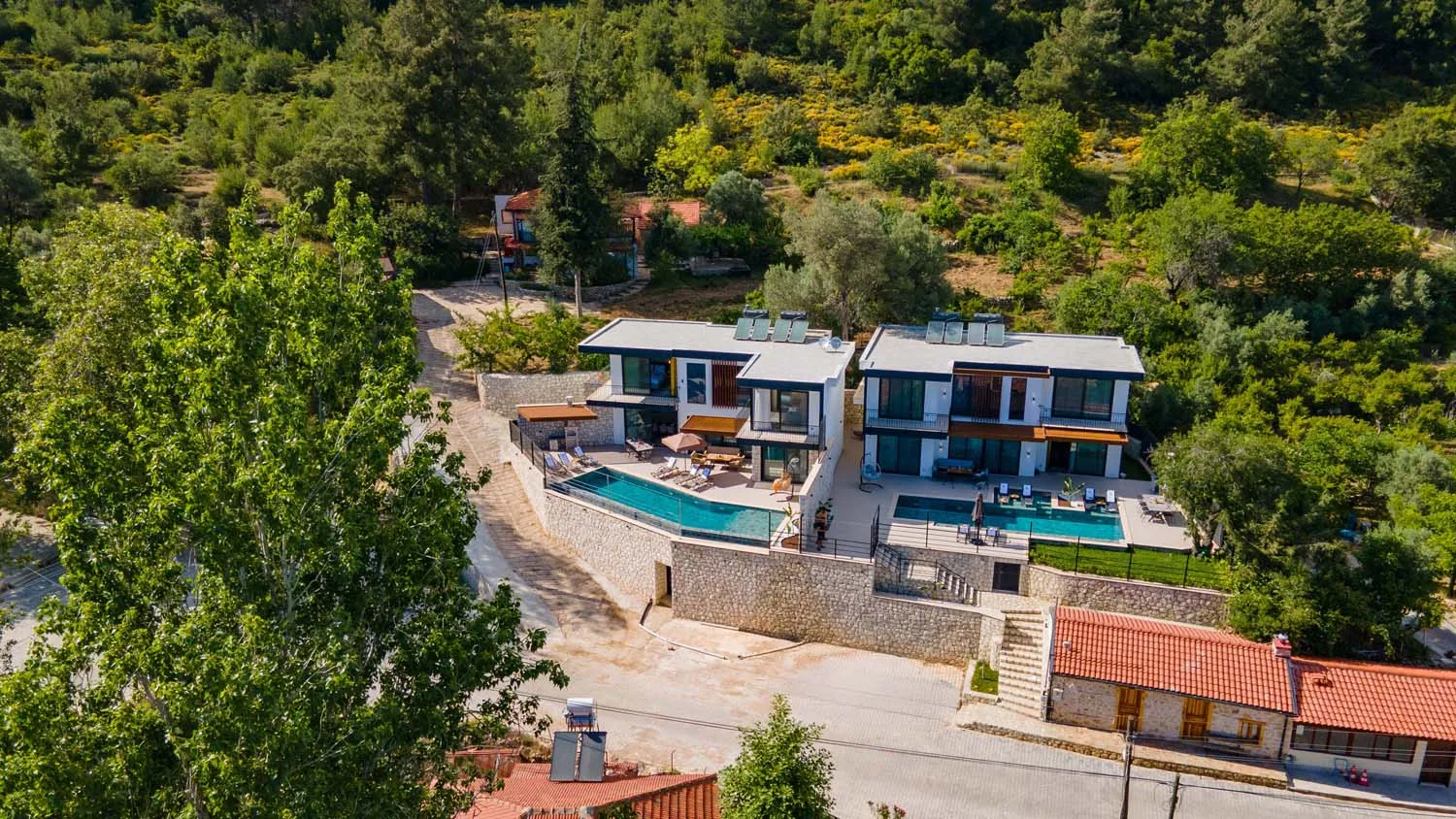 Fotoğraf 55