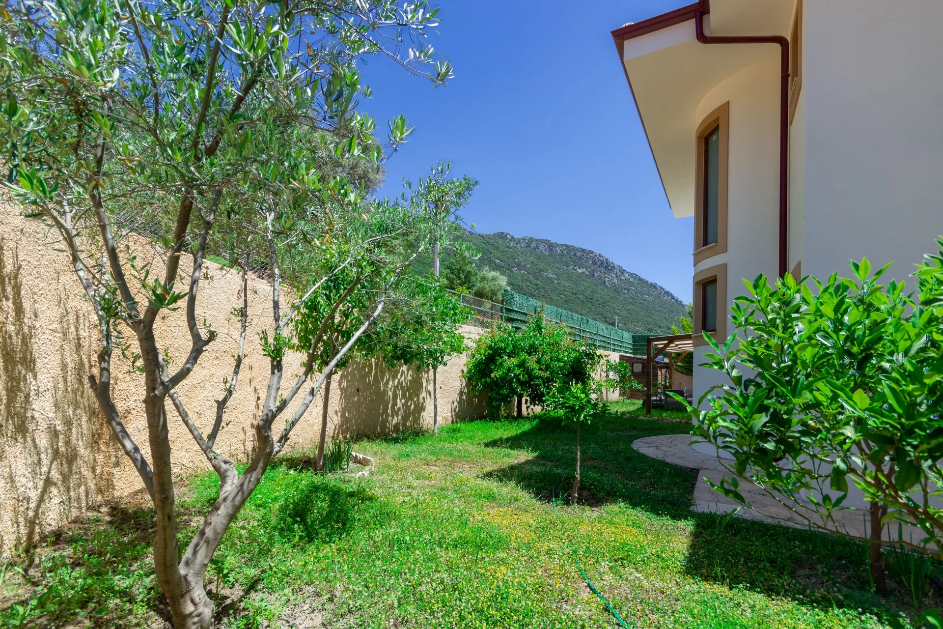 Fotoğraf 40