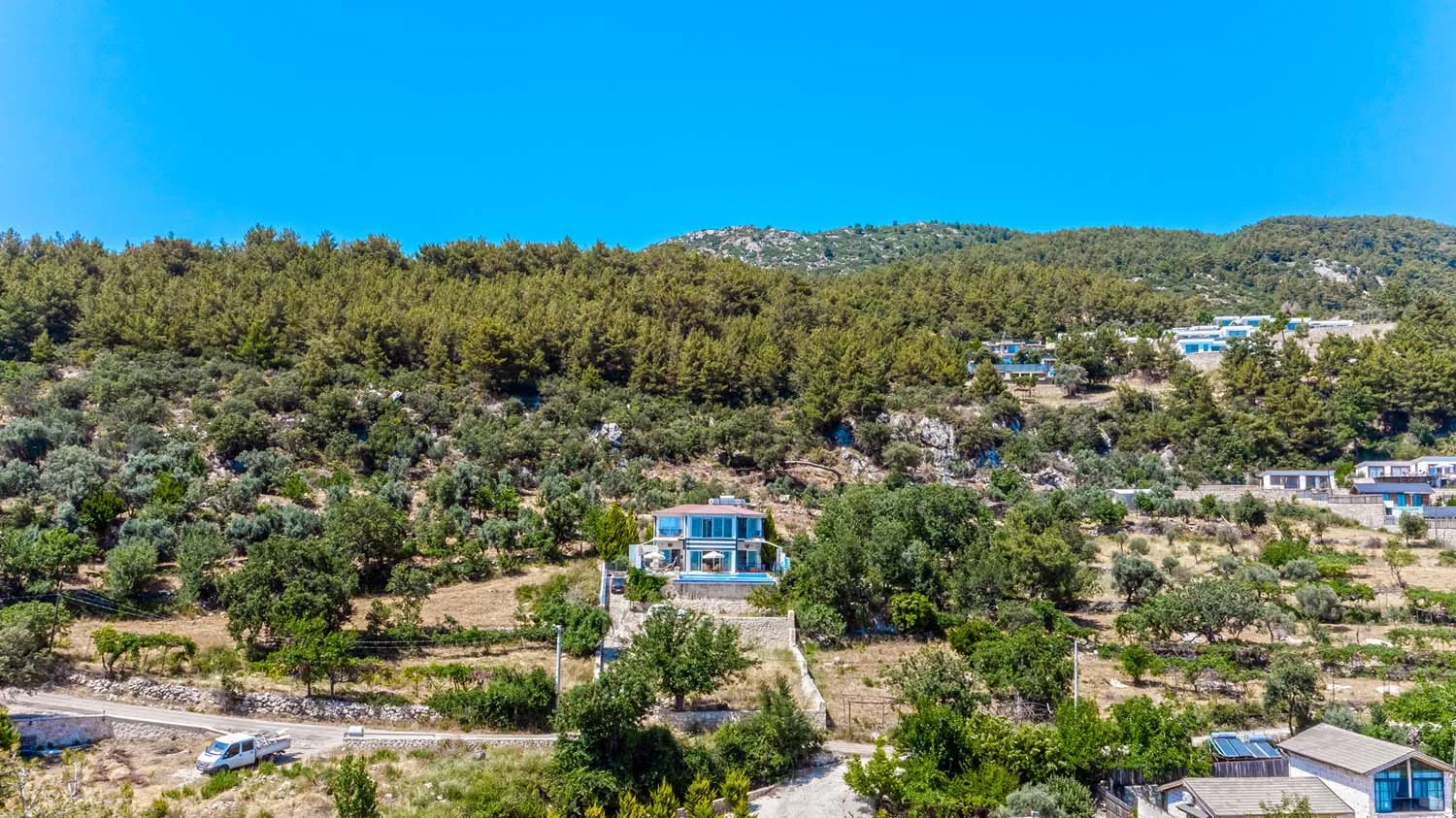 Fotoğraf 31