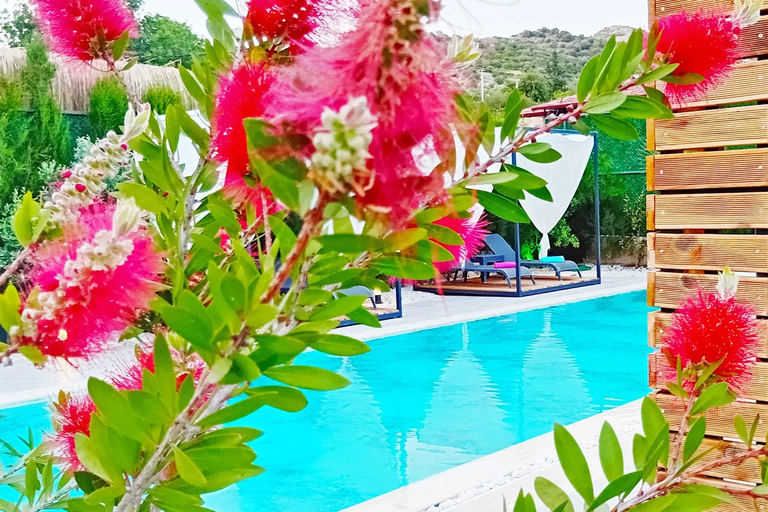 Fotoğraf 66