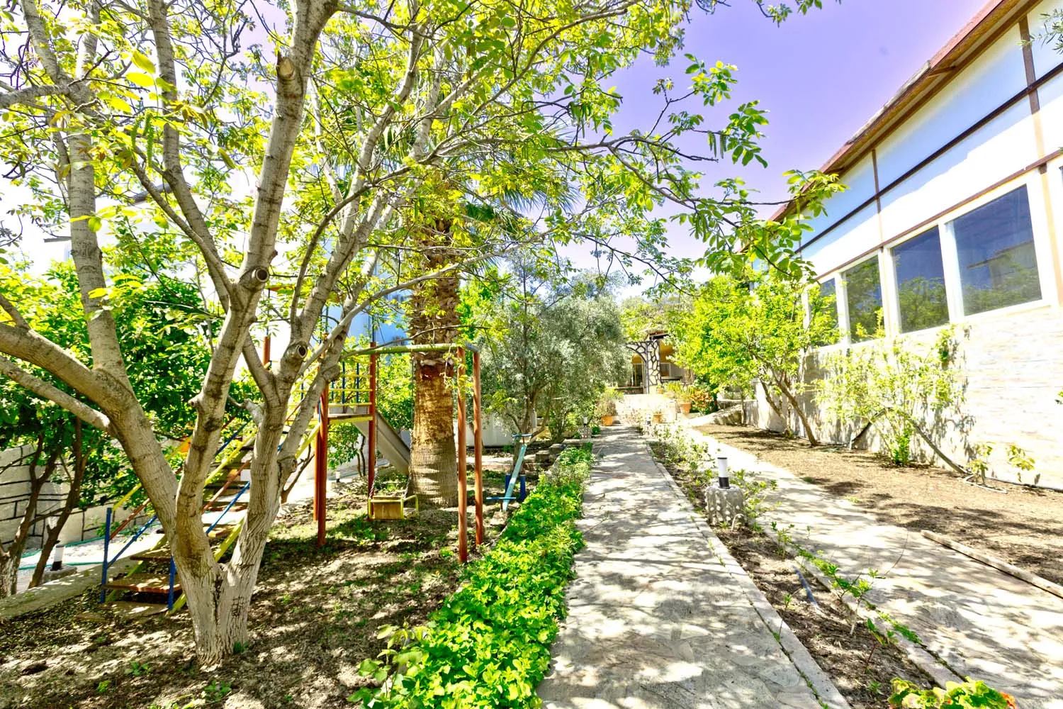 Fotoğraf 38