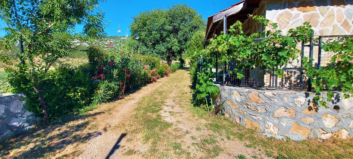 Fotoğraf 11