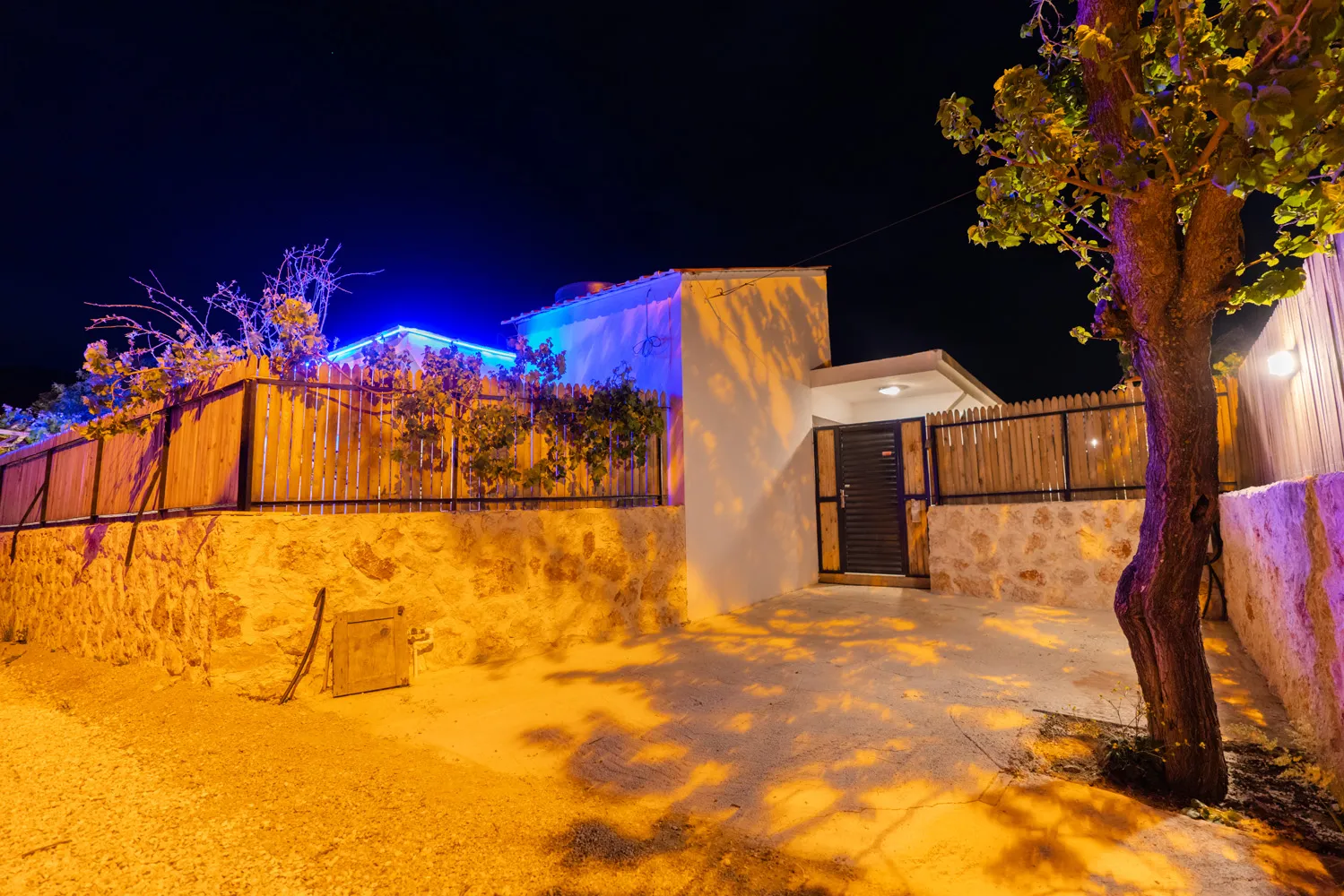 Fotoğraf 31