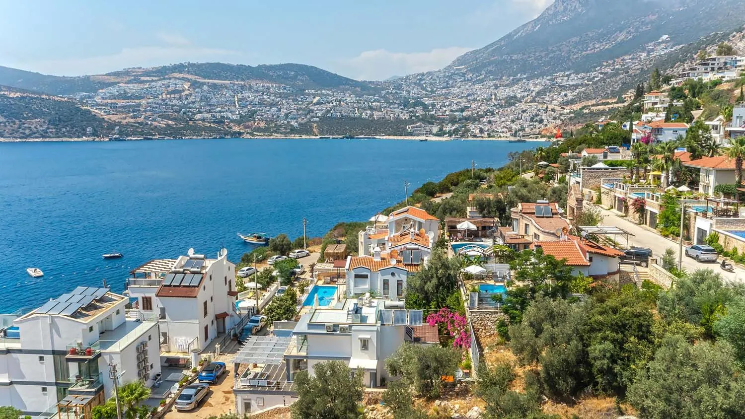 Fotoğraf 62