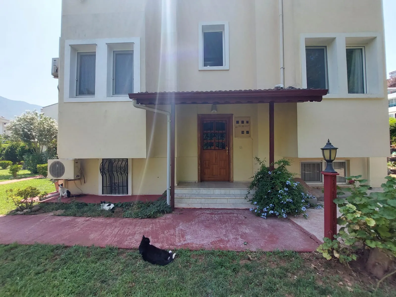 Fotoğraf 39