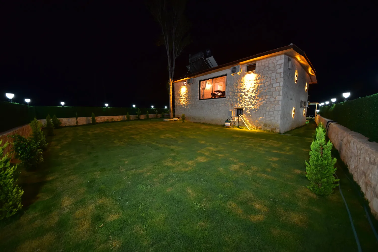 Fotoğraf 30