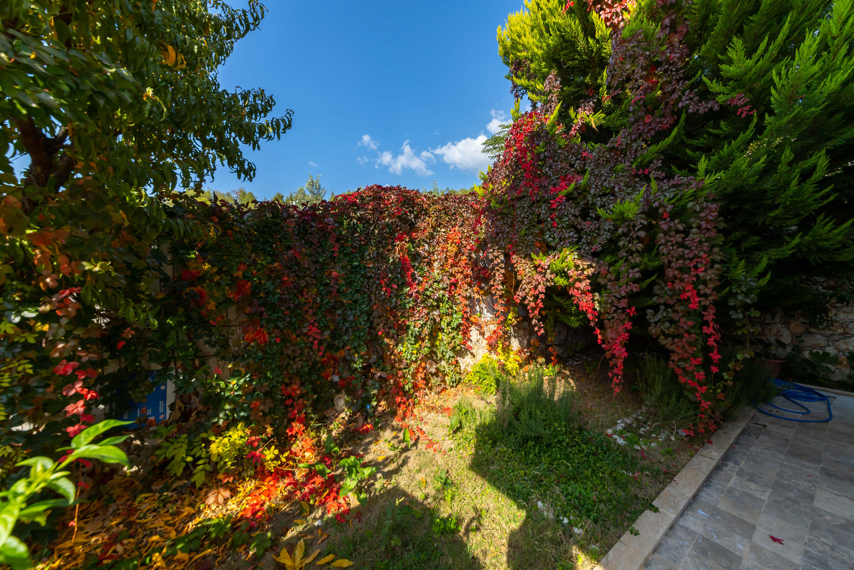 Fotoğraf 19