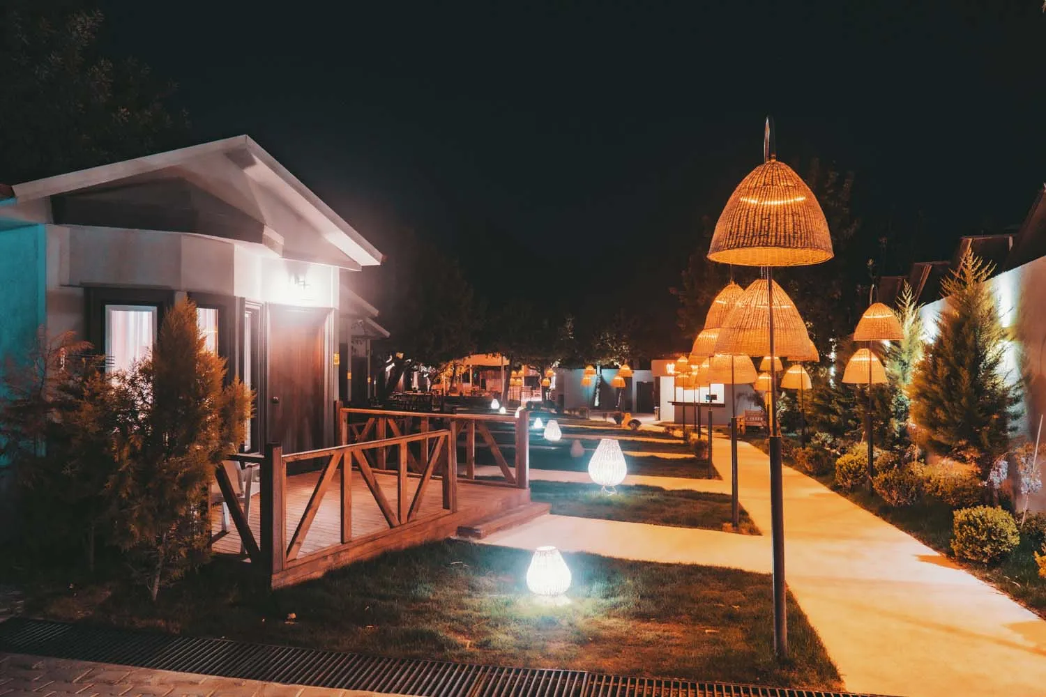 Fotoğraf 15
