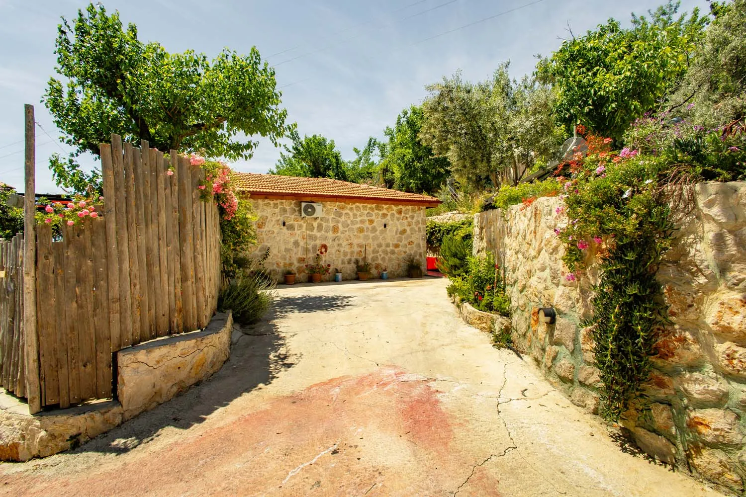 Fotoğraf 56