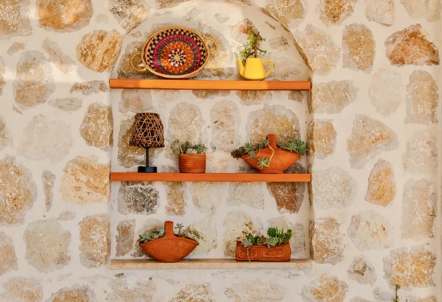 Fotoğraf 43