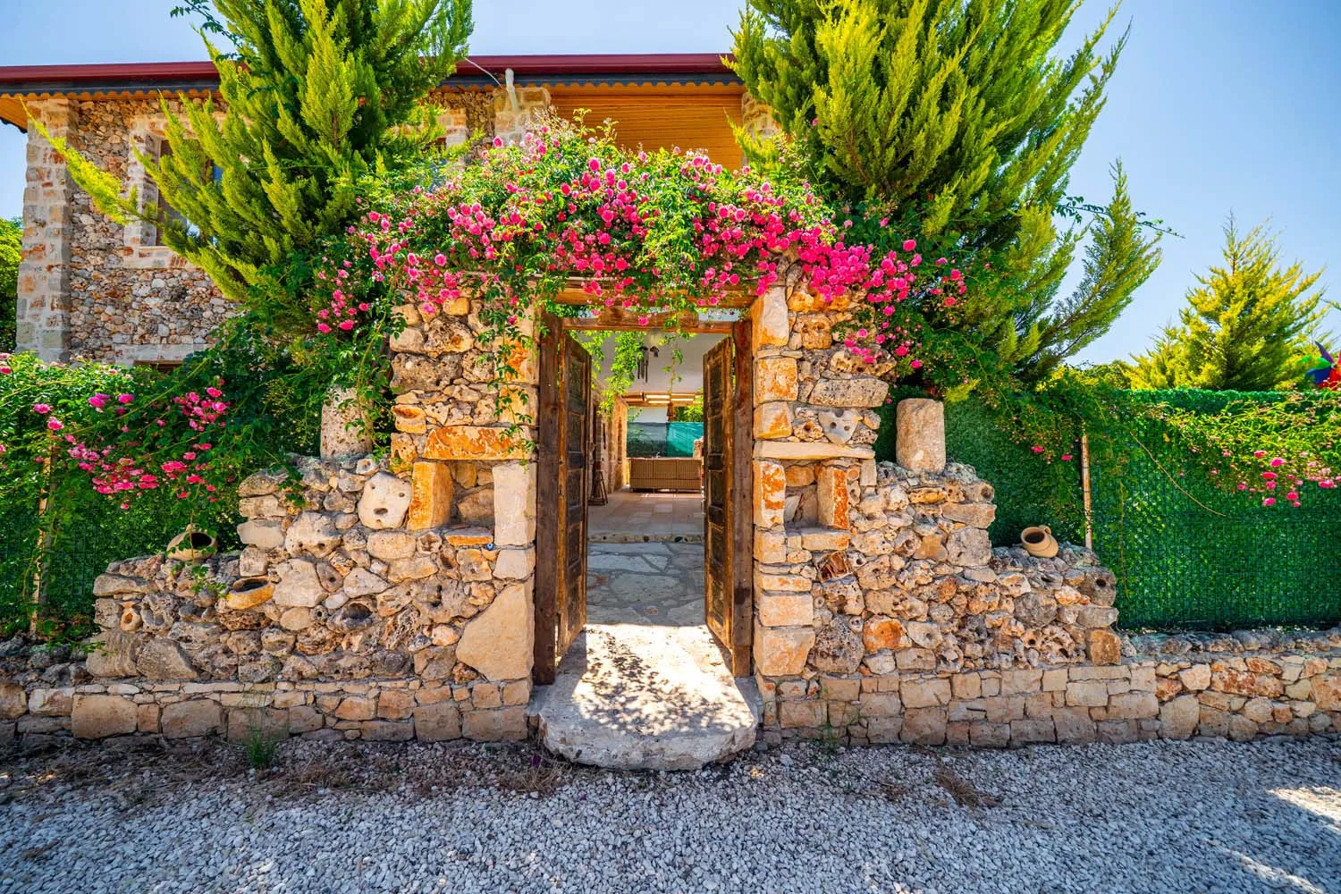 Fotoğraf 45