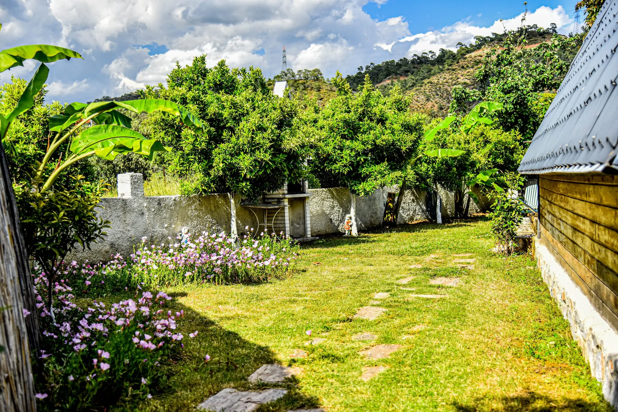 Fotoğraf 13