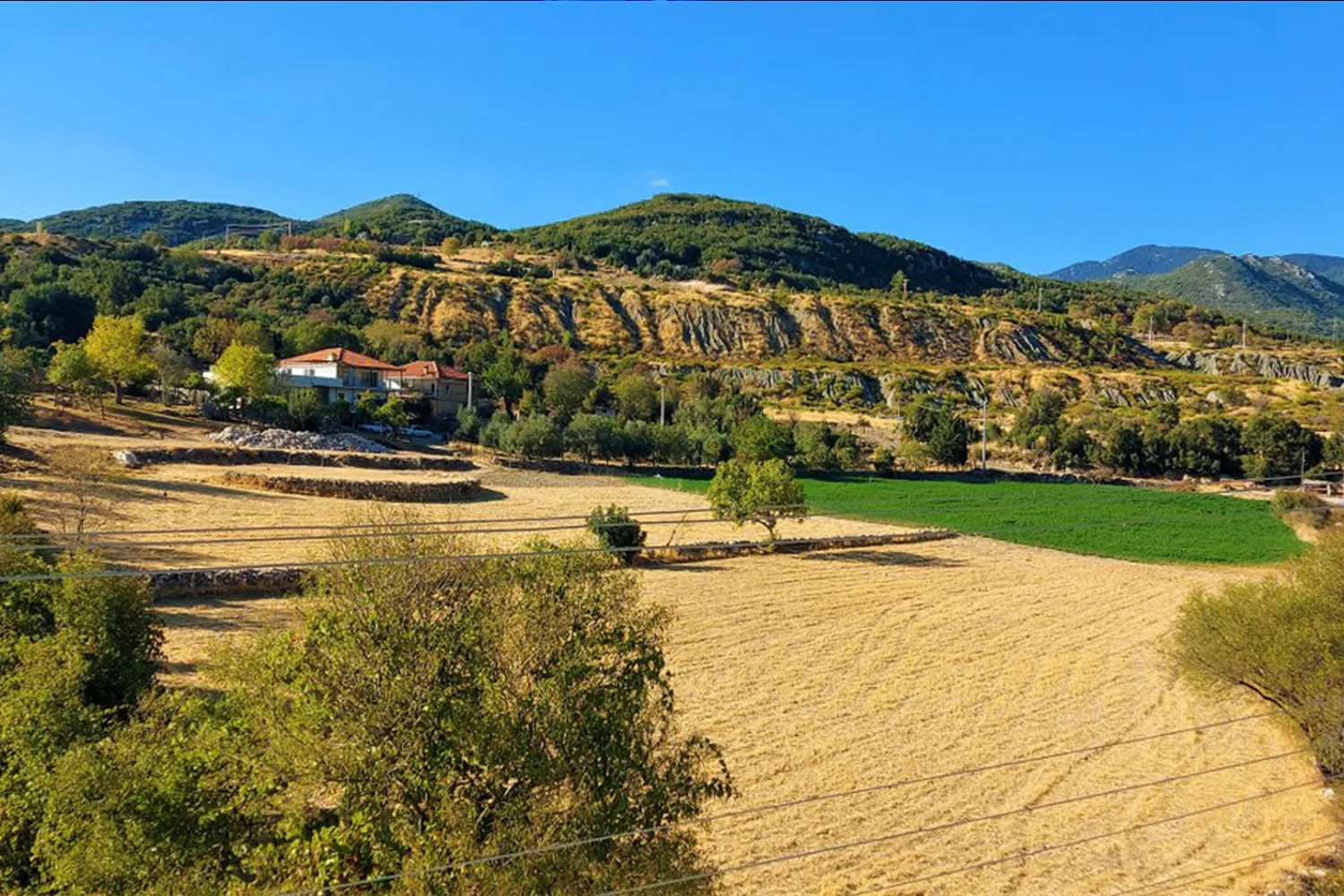 Fotoğraf 39