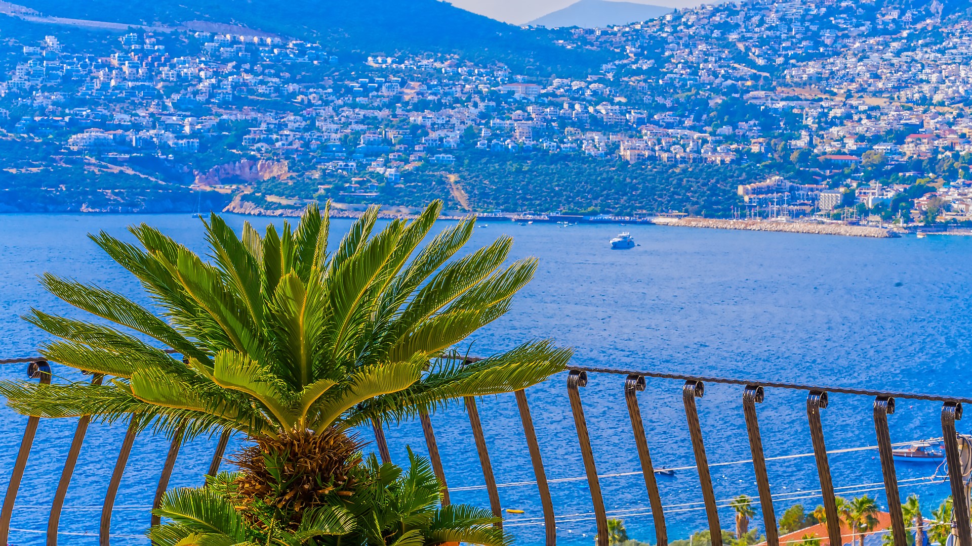 Fotoğraf 34