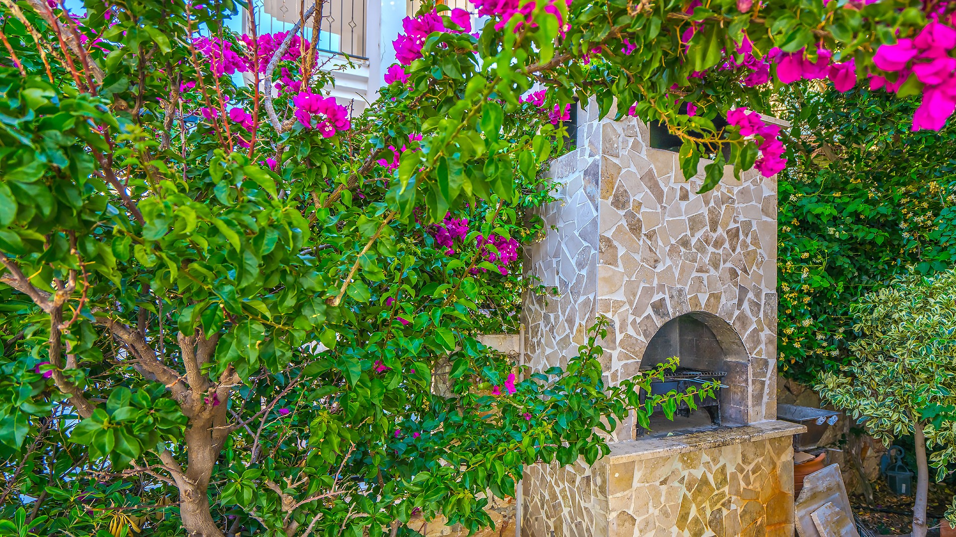 Fotoğraf 41