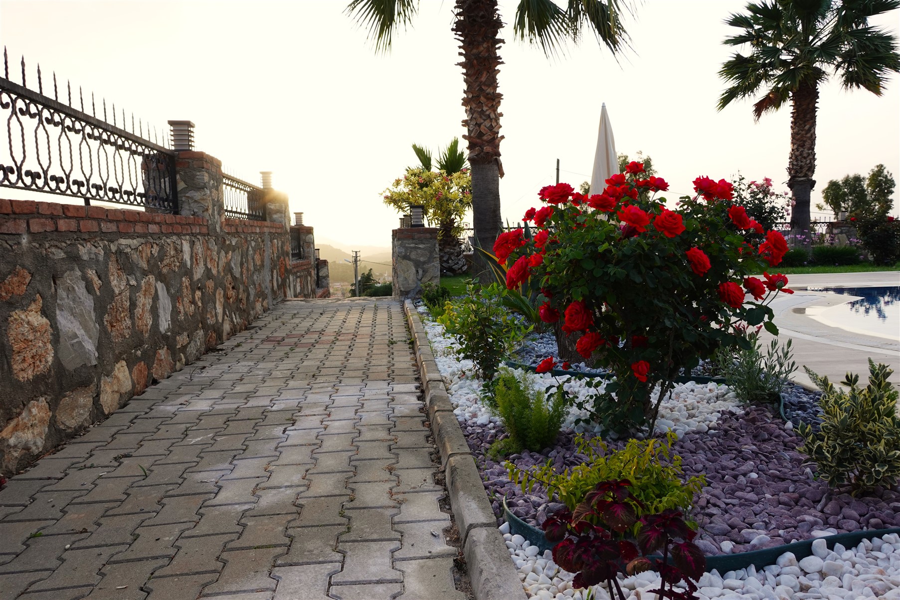 Fotoğraf 35