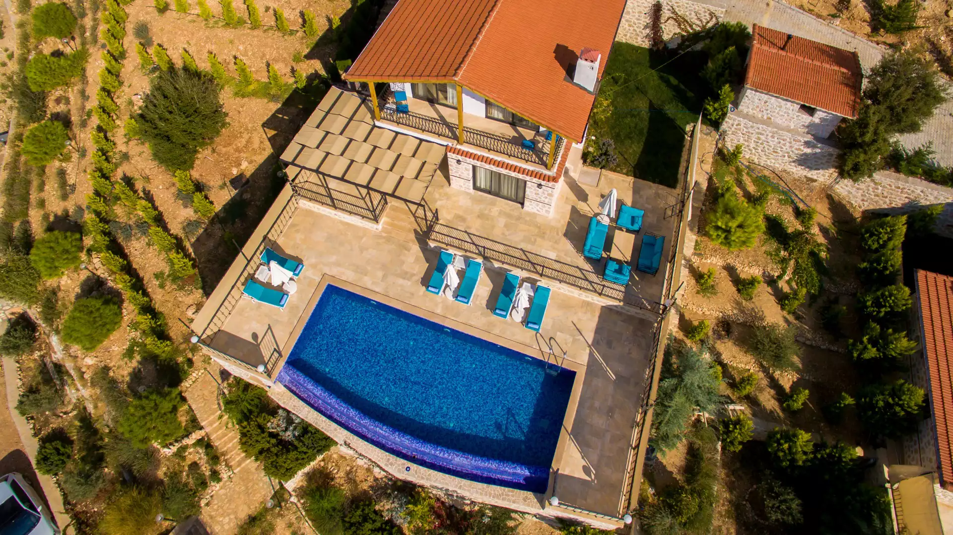 Fotoğraf 15