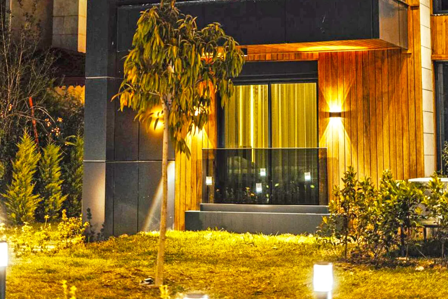 Fotoğraf 12