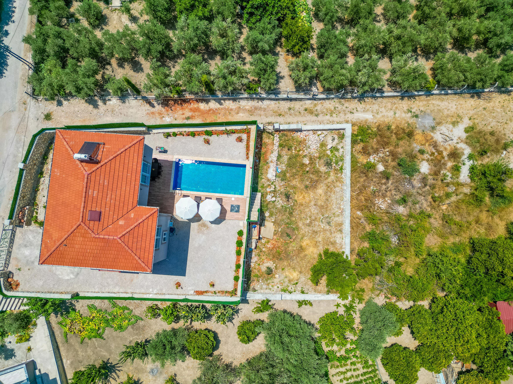 Fotoğraf 32