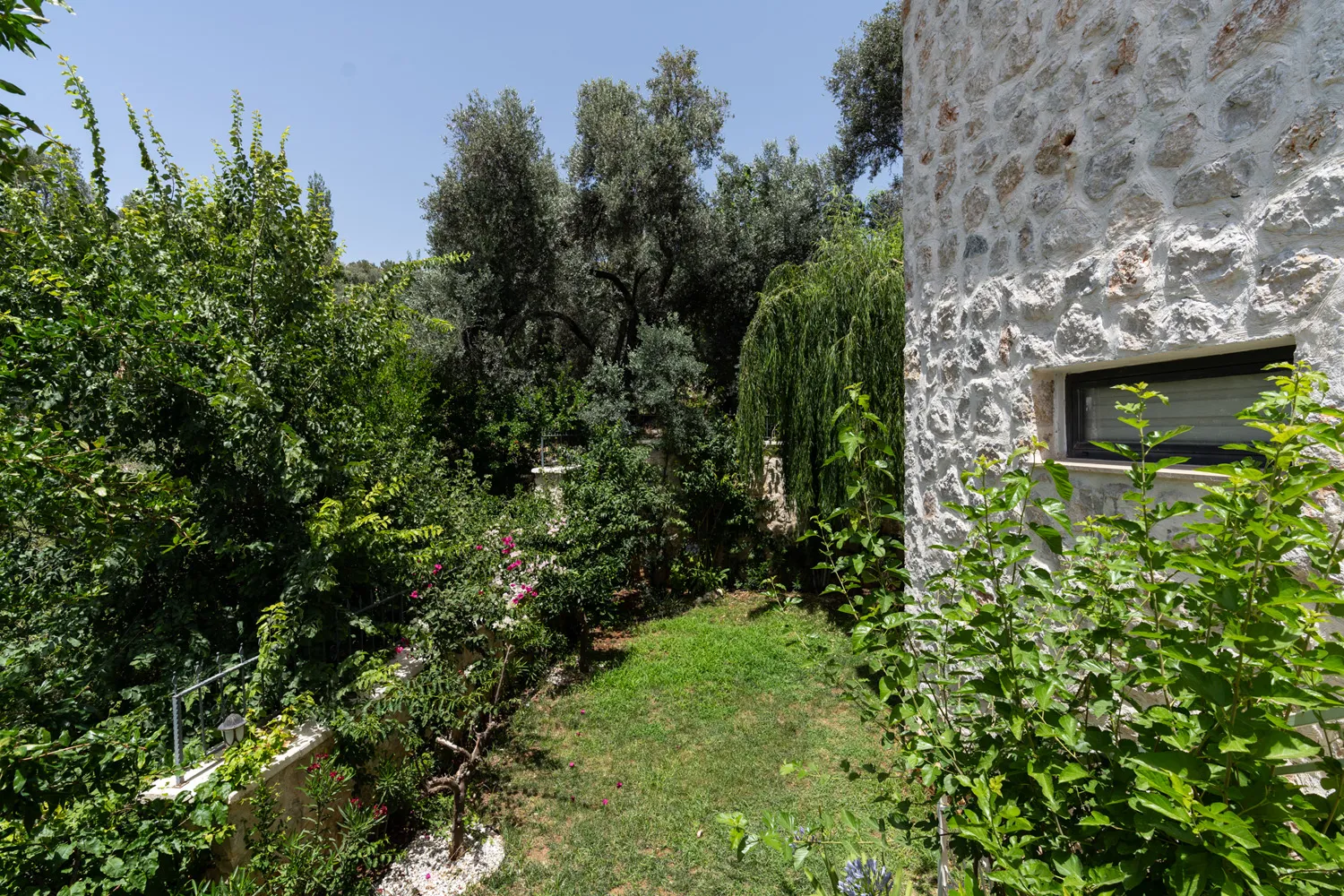 Fotoğraf 16
