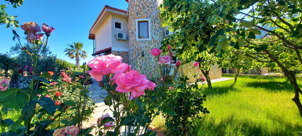 Fotoğraf 17