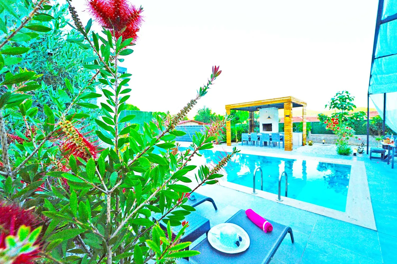 Fotoğraf 67